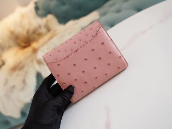 d284bf24caee61e Sale God Factory Bags Hermes 94 Terre Cuite Ostrich Leather Constance Wallet Silver Hardware