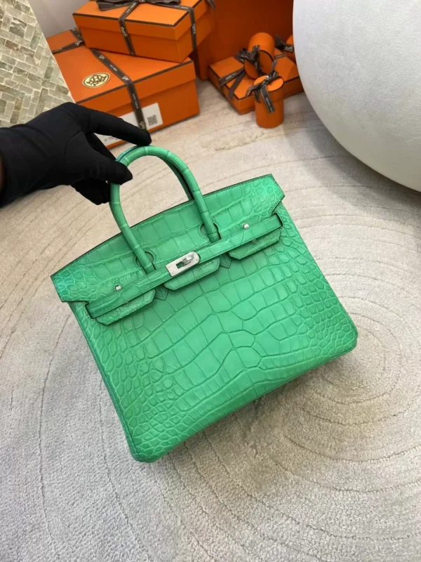 d6646a96c34f6b8-jpg Canada Toronto Hermes Birkin 25CM Matte Alligator Crocodile 0Z Vert Comics Silver Hardware