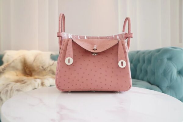 d9de1f6efdd54da-1 Full Handmade Hermes 94 Terre Cuite KK Ostrich Leather Lindy 26CM Silver Hardware