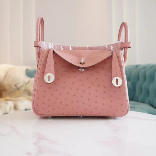 Full Handmade Hermes 94 Terre Cuite KK Ostrich Leather Lindy 26CM Silver Hardware