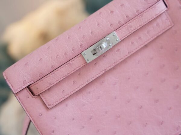 dbb5301c12c218d Discount Hermes 94 Terre Cuite South Africa Ostrich Leather Kelly Danse22CM
