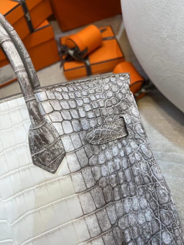 dd03e0a4b984c7d Canada Ottawa Hermes Himalaya Crocodile Leather Birkin 30CM Silver Hardware