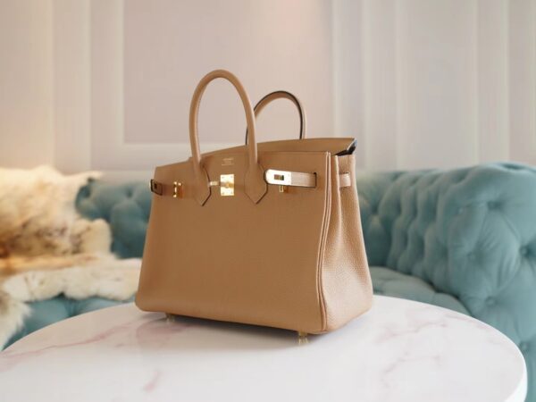 dff753da61b7f5d Fashion Lcmode Hermes 4B Biscuit Togo Leather Birkin25CM Women’s Bag Gold Hardware