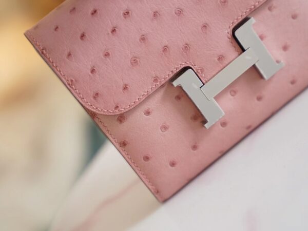 e03327a40b5121f Sale God Factory Bags Hermes 94 Terre Cuite Ostrich Leather Constance Wallet Silver Hardware