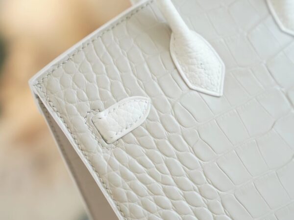 e345d2030ff7337 Hermes Birkin House 20CM Four Leathers 01 Blanc/ 8L Beton Silver Hardware