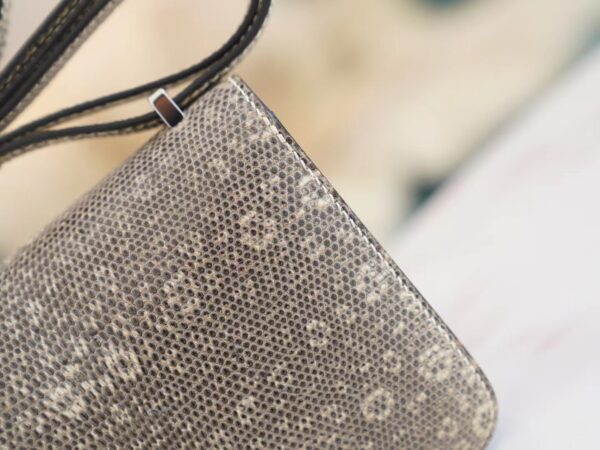 e45d4227d8aa1a7 Full Handmade God Factory Bags Hermes Constance14cm Ombre Lizard Skin Silver Hardware