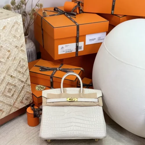 Full Handmade HCP Matte Porosus Crocodile Birkin 25CM 8L Beton Gold Hardware