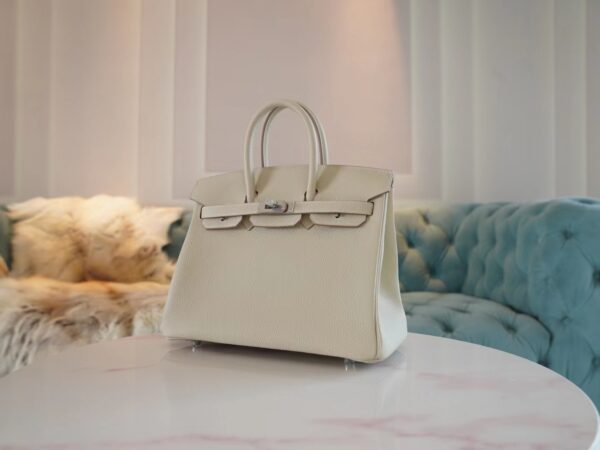 e65dd61d9aa253e God Factory Bags Hermes Togo Leather Birkin 25CM CK10 Craie Silver Hardware