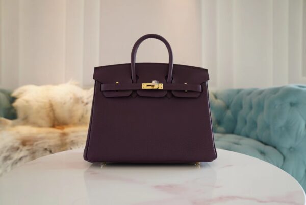 e666cbd947713eb-1 USA New York Hermes Birkin 25CM Togo 59 Raisin Gold Hardware