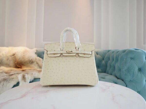e9ea77e93beec5b-1 God Factory Bags Factory Hermes 8L Beton South Africa KK Ostrich Birkin Bag25CM