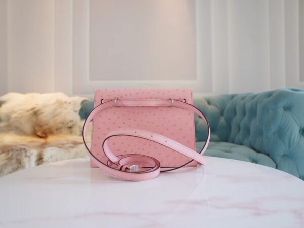 ea295a594148c3c Discount Hermes 94 Terre Cuite South Africa Ostrich Leather Kelly Danse22CM