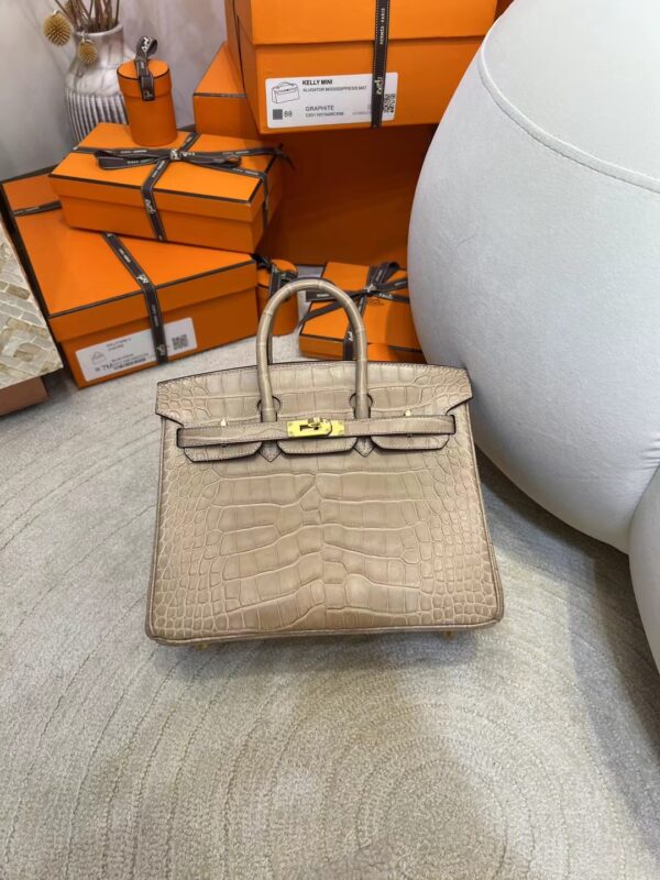 ea8bd04a97c89ef-1 Saudi Arabia Riyadh Hermes Birkin 25CM Matte Alligator 0M Chai Gold Hardware