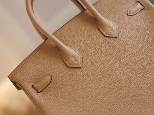 ed33c553a63afbc Fashion Lcmode Hermes 4B Biscuit Togo Leather Birkin25CM Women’s Bag Gold Hardware