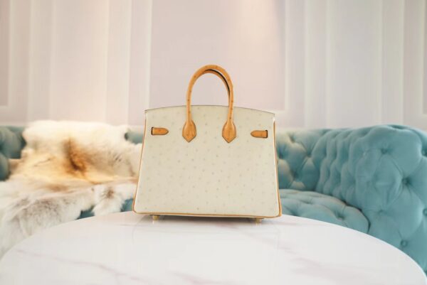 ef3ee385e08865a God Factory Bags Hermes Birkin Bag25CM 3C Parchemin/1H Toffe KK Ostrich Leather Gold Hardware