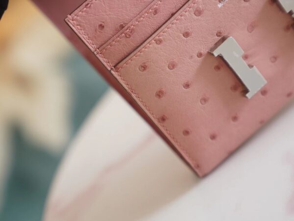 f2235ed8ff06102 Sale God Factory Bags Hermes 94 Terre Cuite Ostrich Leather Constance Wallet Silver Hardware