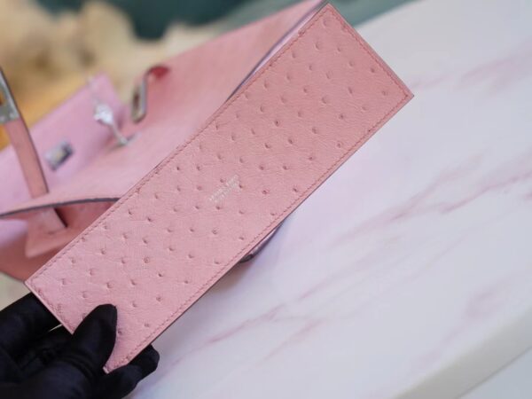 f960e863ce809a8 Discount Hermes 94 Terre Cuite South Africa Ostrich Leather Kelly Danse22CM