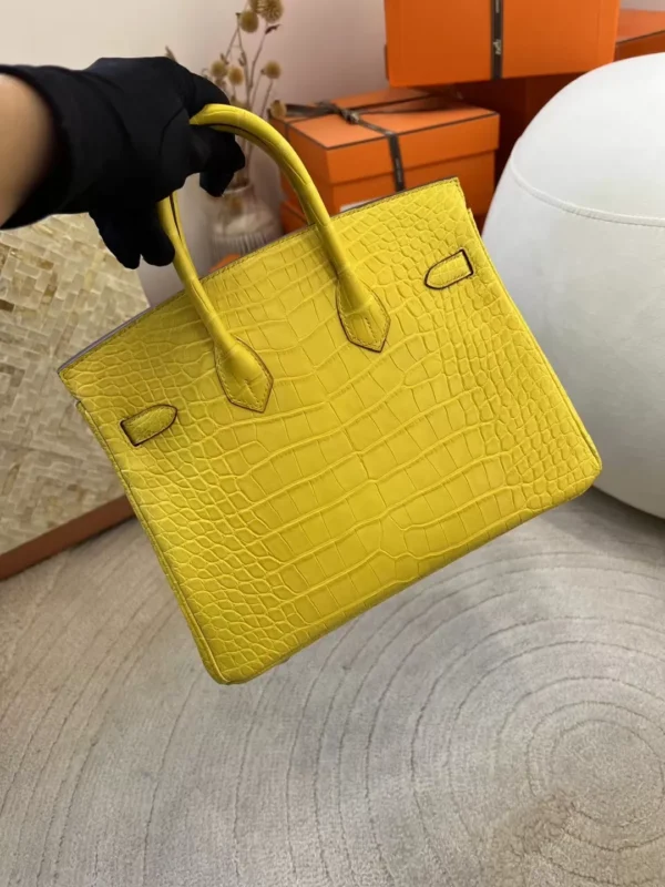 faa91009b06c476-jpg New Hermes Matte Alligator Crocodile M9 Mimosa Birkin 25CM Silver Hardware