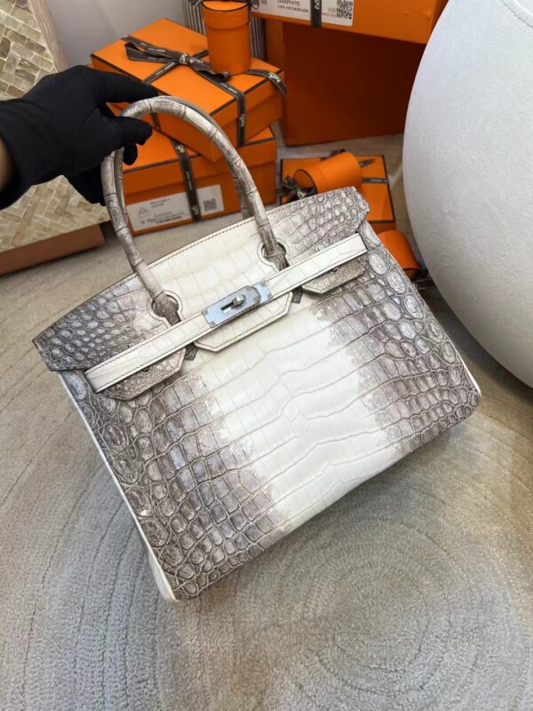 fb756d4cc41c4ca Canada Ottawa Hermes Himalaya Crocodile Leather Birkin 30CM Silver Hardware