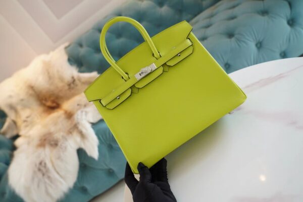 fc450954296de13 God Factory Bags Factory Hermes Kiwi Epsom Leather Birkin25CM Silver Hardware