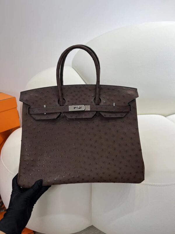 mmexport1716273390683-1 Hermes Boutique Birkin 35CM Chocolate KK Ostrich Silver Hardware