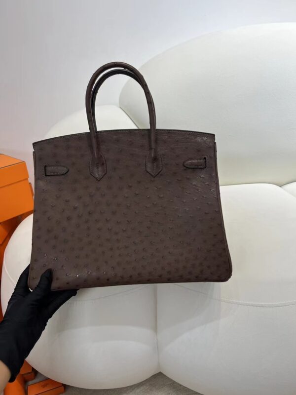 mmexport1716273392458 Hermes Boutique Birkin 35CM Chocolate KK Ostrich Silver Hardware