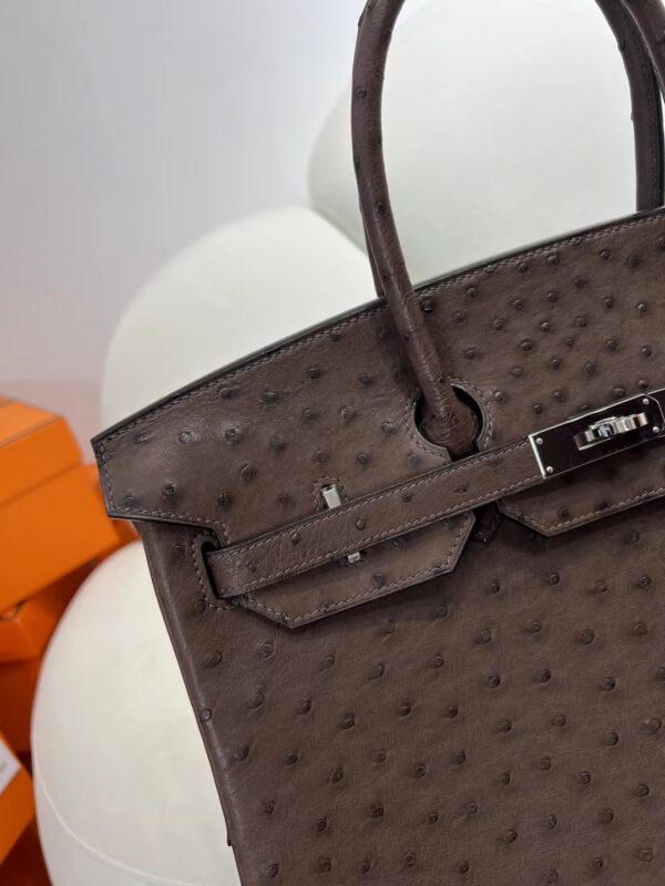 mmexport1716273394334 Hermes Boutique Birkin 35CM Chocolate KK Ostrich Silver Hardware