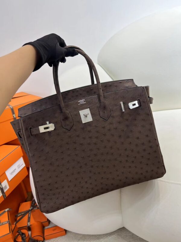 mmexport1716273399844 Hermes Boutique Birkin 35CM Chocolate KK Ostrich Silver Hardware