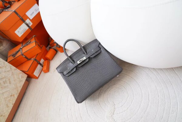 mmexport1720776997479-1 Indonesia Jakarta Hermes Birkin 25CM Matte Alligator Crocodile 88 Gris Graphite Silver Hardware