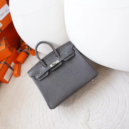 Indonesia Jakarta Hermes Birkin 25CM Matte Alligator Crocodile 88 Gris Graphite Silver Hardware