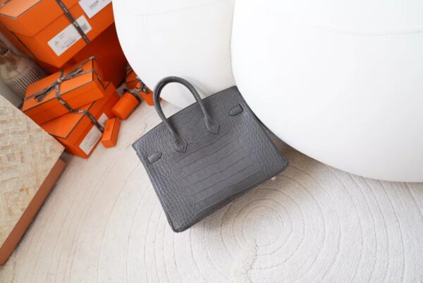 mmexport1720776999552 Indonesia Jakarta Hermes Birkin 25CM Matte Alligator Crocodile 88 Gris Graphite Silver Hardware