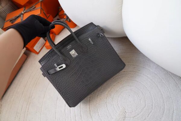 mmexport1720777001485 Indonesia Jakarta Hermes Birkin 25CM Matte Alligator Crocodile 88 Gris Graphite Silver Hardware