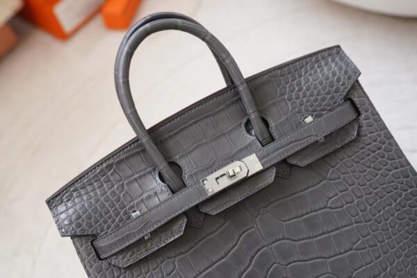 mmexport1720777003410 Indonesia Jakarta Hermes Birkin 25CM Matte Alligator Crocodile 88 Gris Graphite Silver Hardware