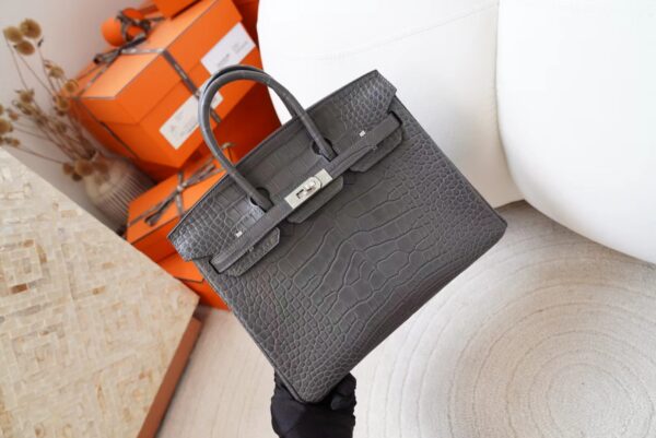 mmexport1720777009332 Indonesia Jakarta Hermes Birkin 25CM Matte Alligator Crocodile 88 Gris Graphite Silver Hardware