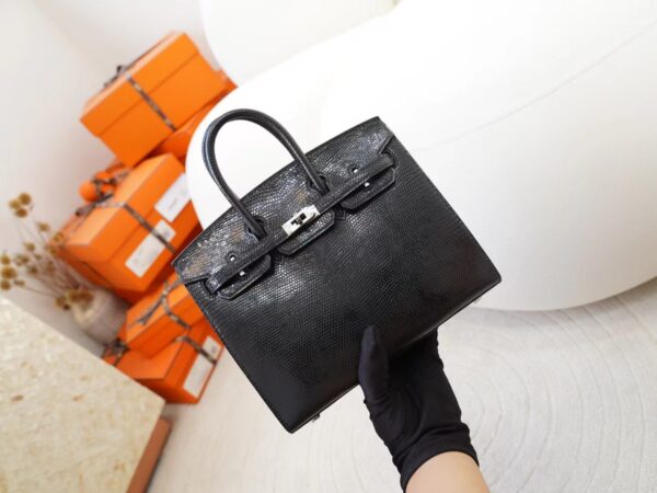 mmexport1725607087932 DDMode Hermes Lizard Leather Birkin Sellier 20CM 89 Noir Silver Hardware