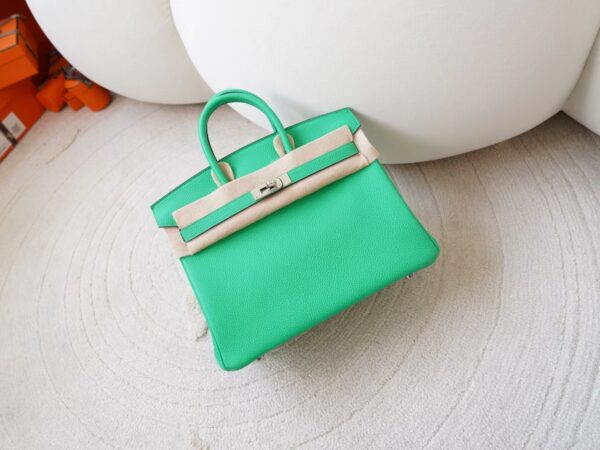 mmexport1726207967947-1 UK London Hermes Birkin 25CM Togo Leather 0Z Vert Comics Silver Hardware