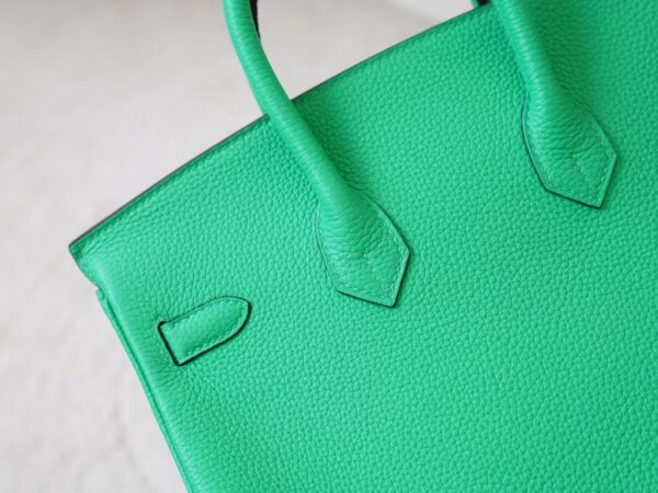 mmexport1726207978305 UK London Hermes Birkin 25CM Togo Leather 0Z Vert Comics Silver Hardware