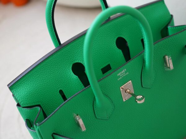 mmexport1726207980163 UK London Hermes Birkin 25CM Togo Leather 0Z Vert Comics Silver Hardware