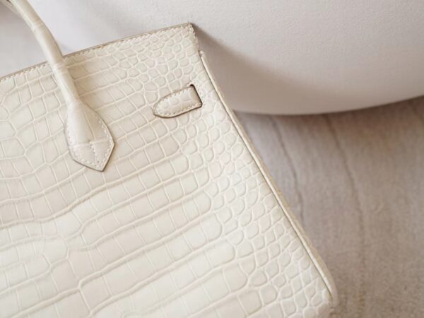 mmexport1726208030499 Hermes Bag Price 8L Beton HCP Matte Porosus Crocodile Birkin 25CM Gold Hardware