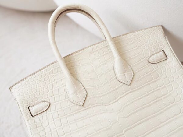 mmexport1726208034061 Hermes Bag Price 8L Beton HCP Matte Porosus Crocodile Birkin 25CM Gold Hardware