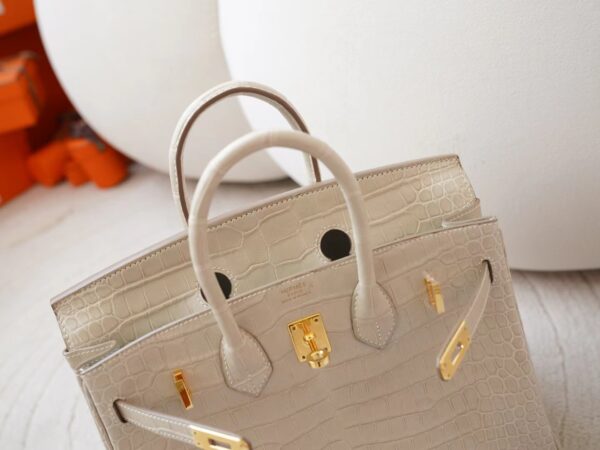 mmexport1726208035803 Hermes Bag Price 8L Beton HCP Matte Porosus Crocodile Birkin 25CM Gold Hardware