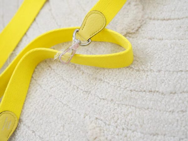 mmexport1726644632390 New Arrival Hermes Mini Evelyne 16CM Clemence Leather 0Y Lemoncello Silver Hardware