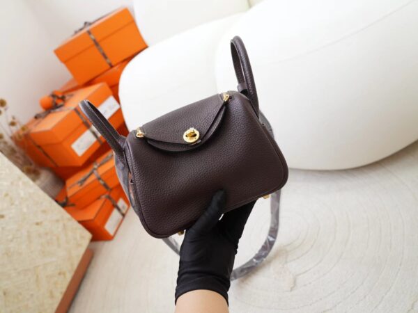mmexport1726644712052 USA Washington Hermes 0G Rouge Sellier Clemence Leather Mini Lindy 19CM Gold Hardware