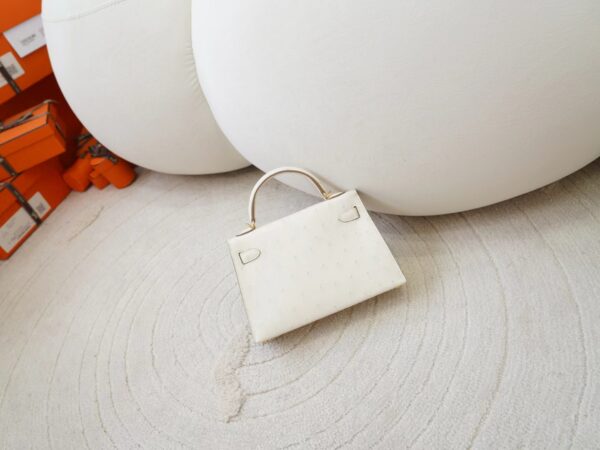mmexport1726644739547 Hermes Bag Images KK Ostrich Mini Kelly 19CM 8L Beton Gold Hardware