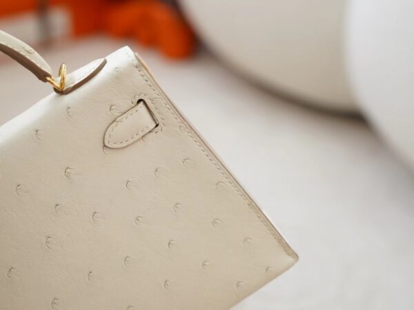 mmexport1726644743329 Hermes Bag Images KK Ostrich Mini Kelly 19CM 8L Beton Gold Hardware