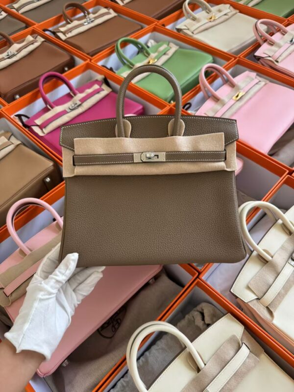 mmexport1729502588275-1 Taiwan Hermes Togo Leather Birkin 25CM CK18 Etoupe Silver Hardware