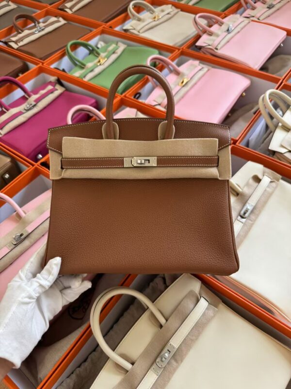 mmexport1729502599882-1 Hermes Bag Price Birkin 25CM CK37 Gold Togo Leather Silver Hardware
