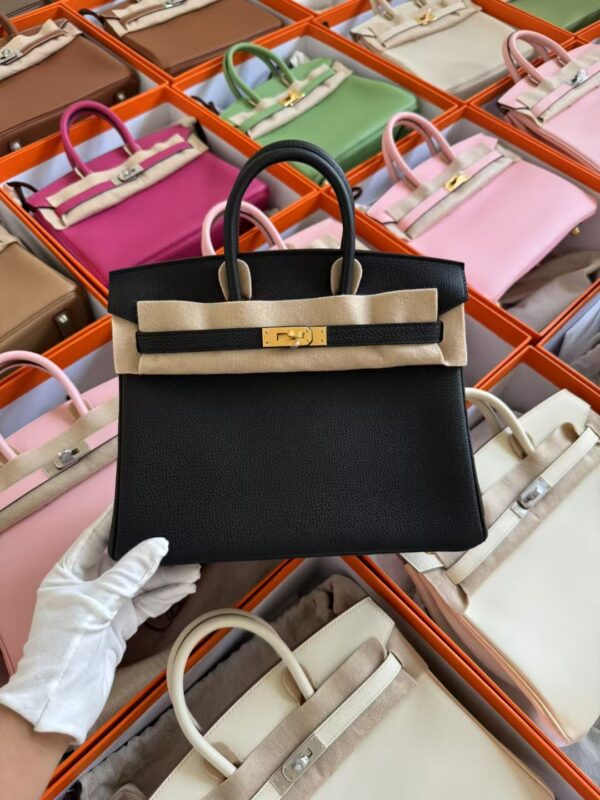 mmexport1729502603898-1 Hong Kong Hermes Birkin 25CM Togo Leather CC89 Noir Gold Hardware