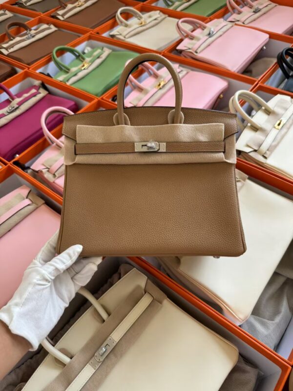 mmexport1729502607881-1 Hermes Birkin 25 Bag Images 0M Chai Togo Leather Silver Hardware