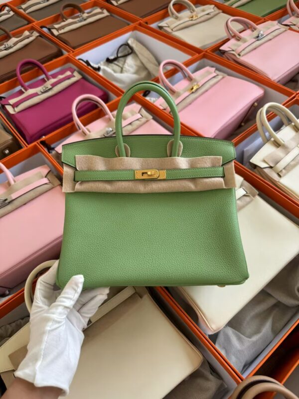 mmexport1729502616427-1 UAE Dubai Hermes Birkin 25CM Togo Leather 3I Vert Criquet Gold Hardware