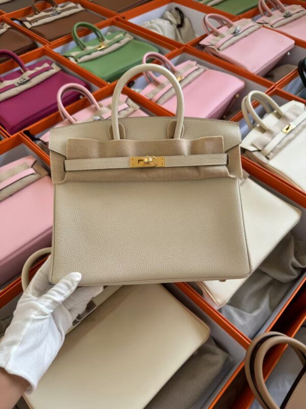 mmexport1729502619935-1 Hermes Bag Price Birkin 25CM CC10 Craie Togo Leather Gold Hardware